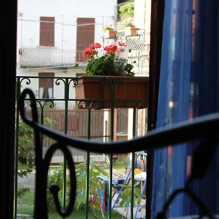 Campino