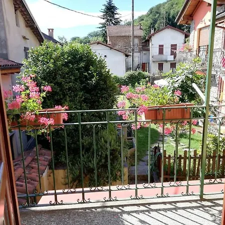 Campino